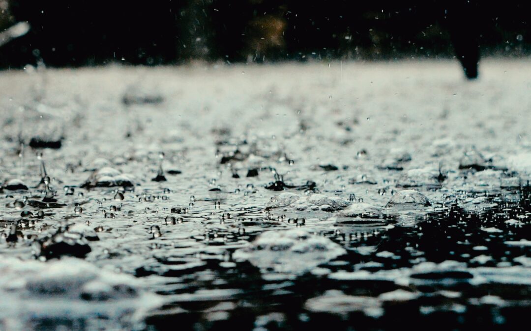 Der Geruch von Regen – Petrichor erklärt: Alles über das faszinierende Naturphänomen