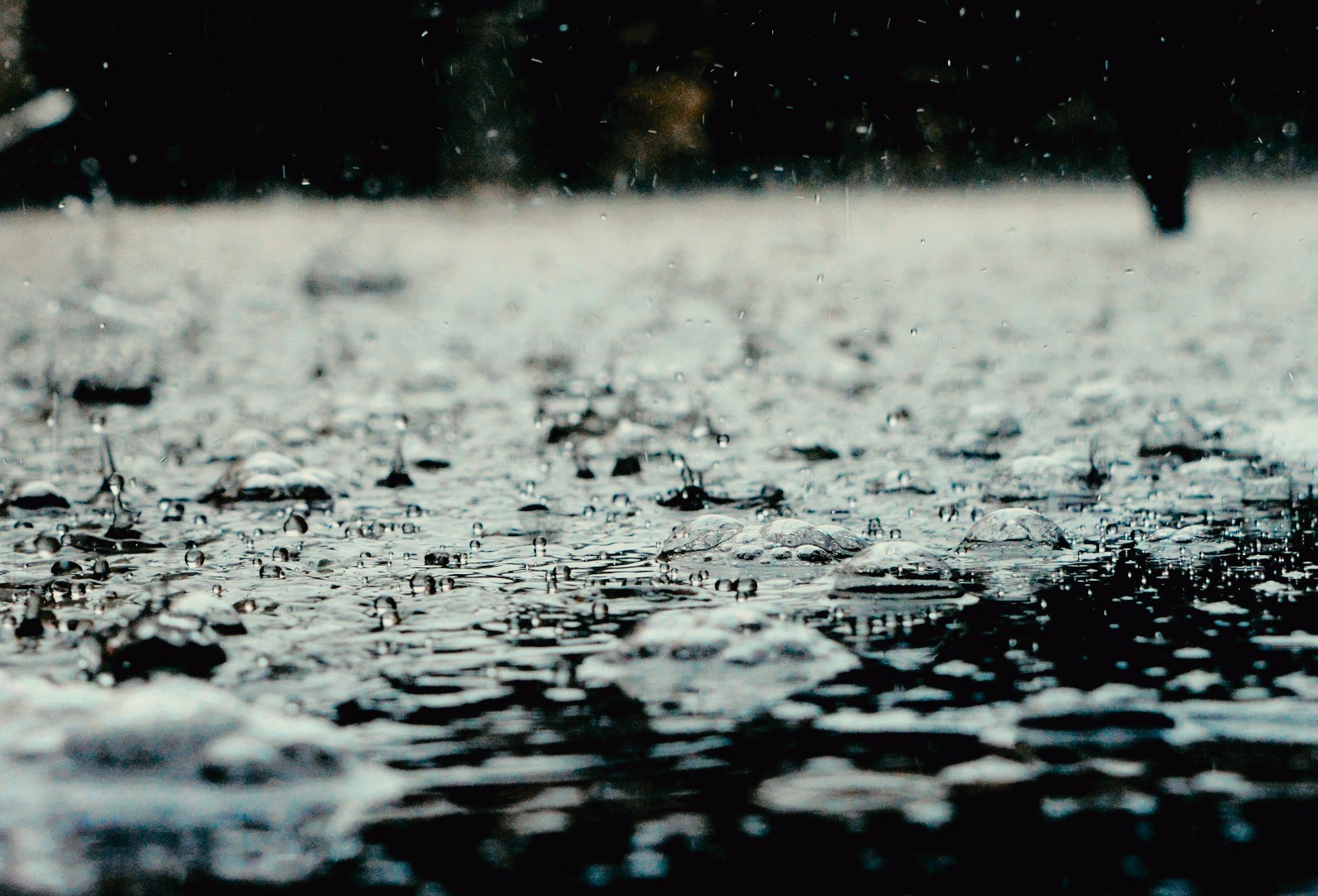Der Geruch von Regen Darstellung